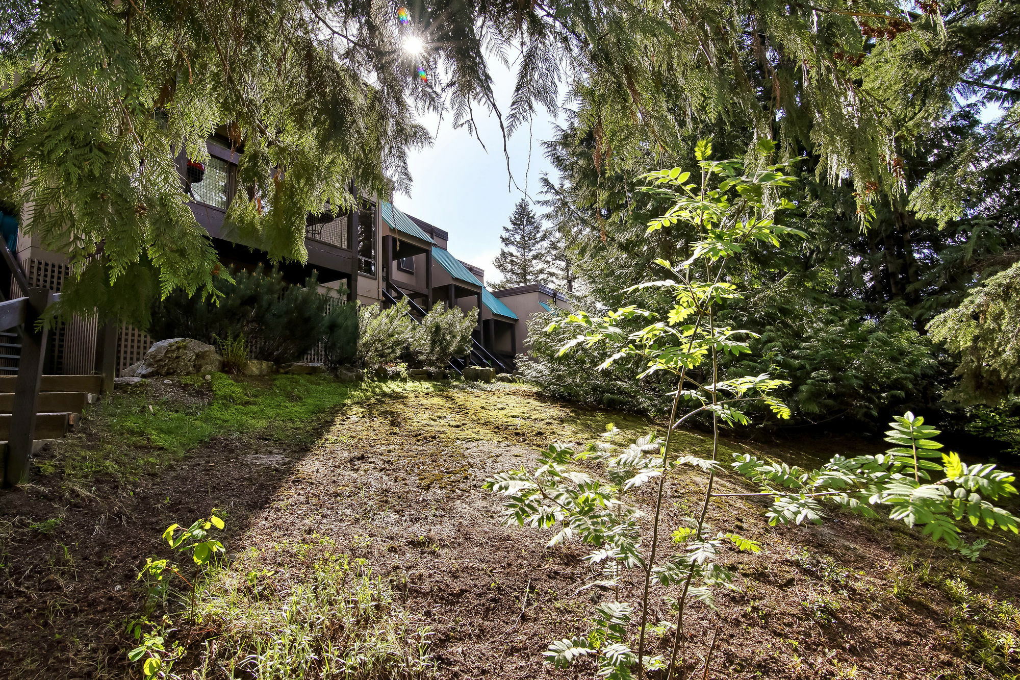 Whiski Jack Creekside Whistler Zewnętrze zdjęcie